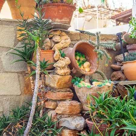 Harmony Modern Near Sea *